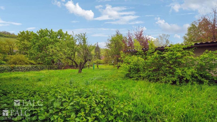 Haus mit 3 Vollgeschossen, Garage und Terrasse möglich! *BAUPLATZ* - FALC Immobilien Heilbronn – Bauplatz auf 535 m²
