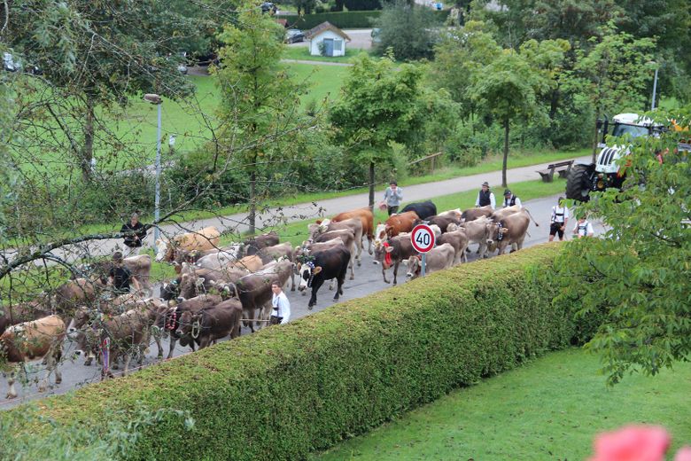 Privatverkauf EFH in Oberstaufen-Weißach, – Viehscheid