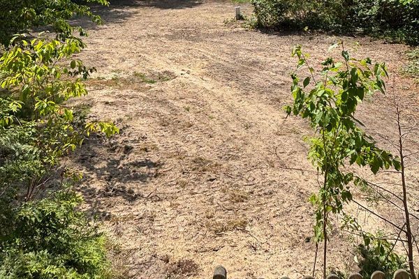 Bez prowizji – ok. 920 m² w pełni uzbrojona działka budowlana w Schönwalde-Glien – położona na skraju lasu