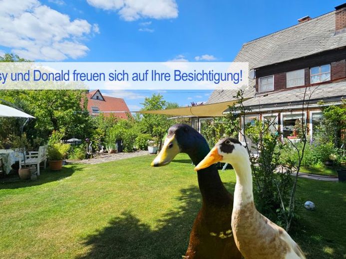 Sie suchen Ruhe, ein Haus mit Geschichte Hitorisches Familienanwesen im Grünen mit großem Grundstück – Foto 1