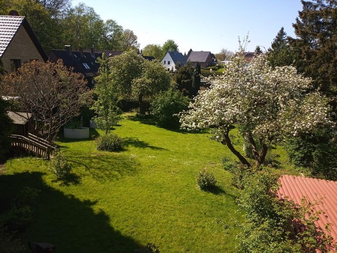 Blick in den Garten