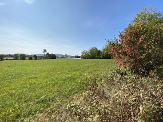 GEFRAGTES GEWERBEGRUNDSTÜCK IM SÜDEN VON BAUTZEN – Blick nach Westen