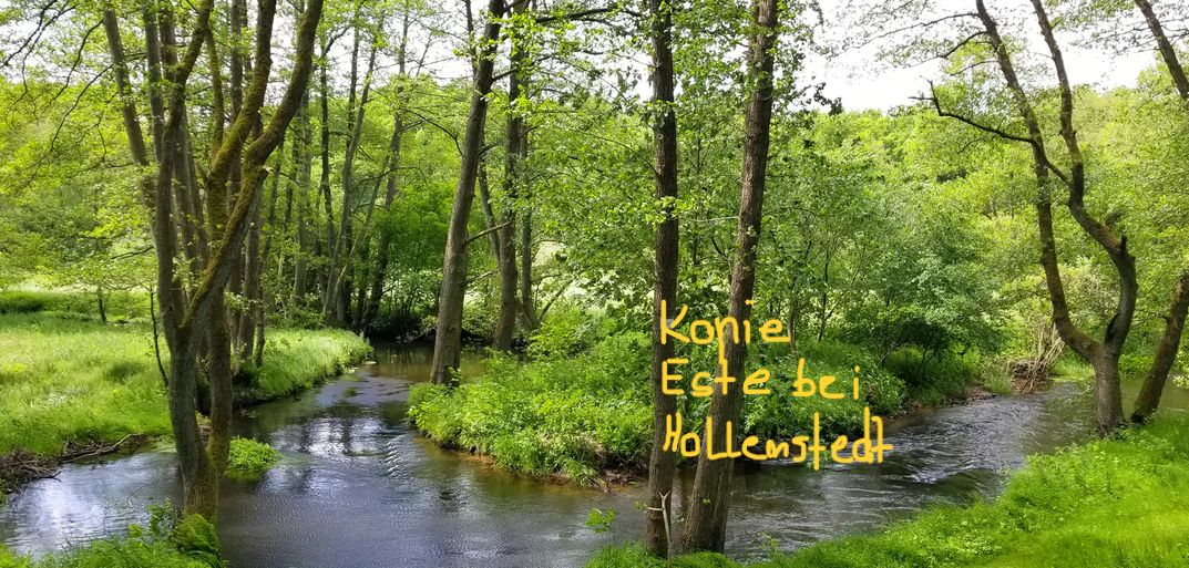 # 3 HÄUSER AUF 5.300 QM² LAND, GROßFAMILIEN-OASE MIT PRAXIS-POTENZIAL,HAMBURGER SPECKGÜRTEL # – IN 20 GEHMINUTEN ERREICHBAR