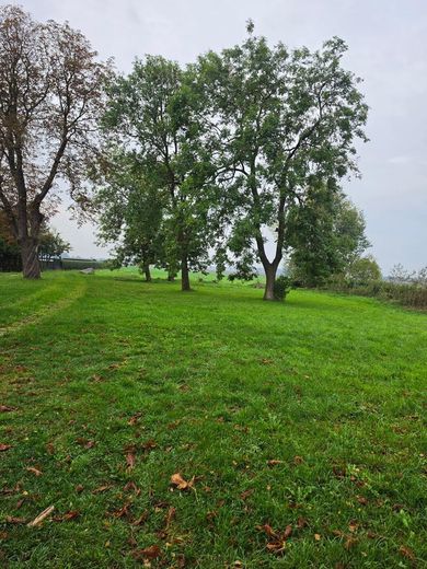 1.298 m² Baugrundstück auf Rügen mit positiver Bauvoranfrage! – Blick vom hinteren Teil