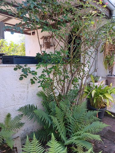 Worms Innenstadt-West'te müstakil 1 aile evi, büyük bahçe – Innenhof