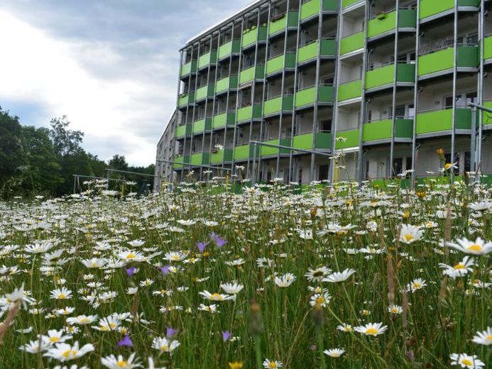 Komfortable 2-Zimmer-Wohnung mit Südbalkon im modernen Mehrgenerationenhaus – Foto 1