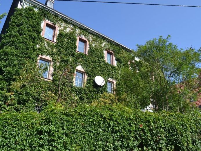 Ex fattoria a quattro lati con connessione in fibra ottica – Foto 1