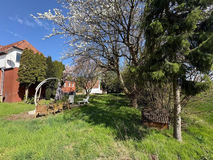 Garten mit Kirschbaum