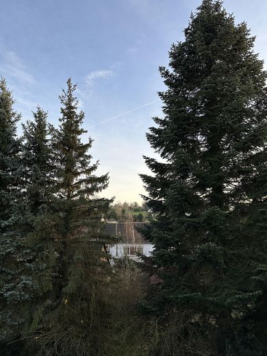 Balkon mit Blick ins Grüne