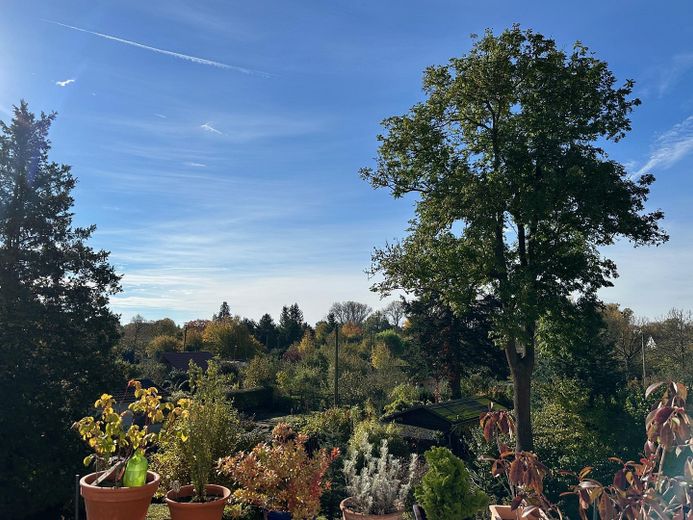 OG BalkonBlick ins Grüne