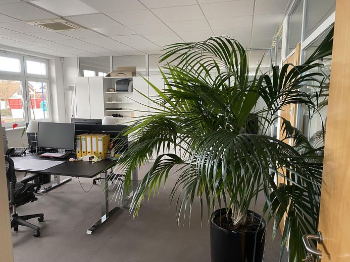 helles, modernes Büro in verkehrsgünstiger und dennoch ruhier Lage zu vermieten – Büro