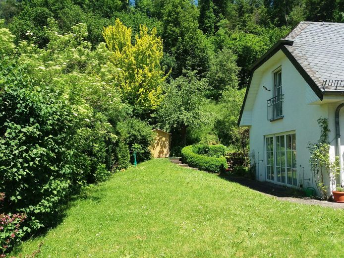Garten mit Blick nach Norden