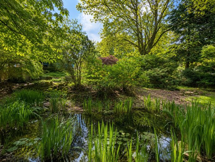 Charakterimmobilie mit Einliegerwohnung auf außergewöhnlichem Naturgrundstück – Gartenteich