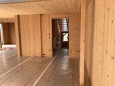 NATURHOLZ  &  WALDRAND – INDIVIDUELL PLANEN – 1782936760_100a6c.jpg