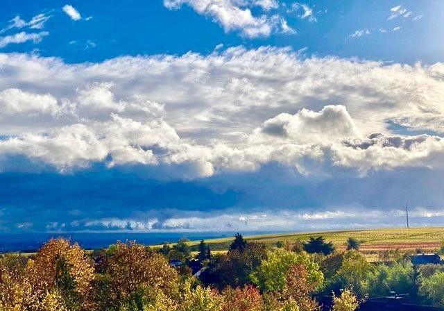 Blick in die Rheinebene