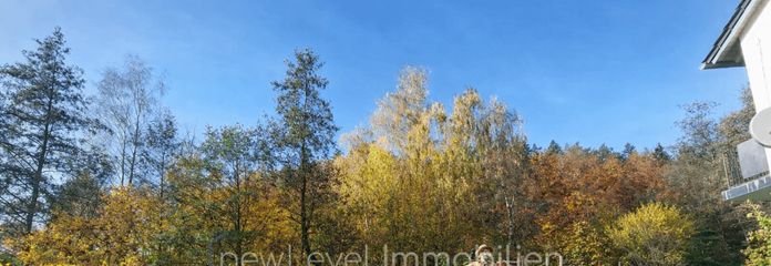 Das könnte Ihr neuer Bauerngarten sein (KI visualisiert)