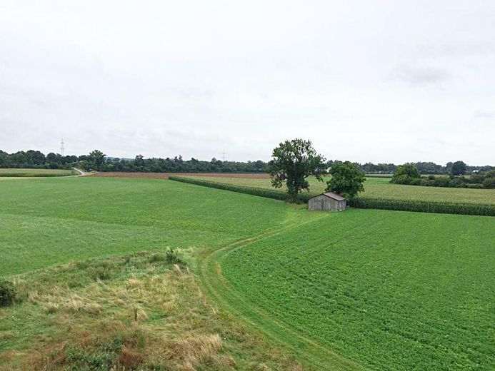 Außblick Wohnzimmer_2