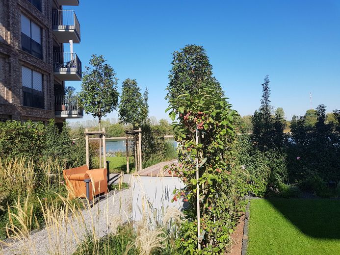 Wohnen am Rhein im Zollhafen – 2-Zimmer-Wohnung in den Schiffshäusern mit Rheinblick und Garten – Grüne, gepflegte Außenanlage
