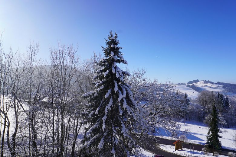 Vrije tijd en ontspanning: 2-kamerappartement in Missen-Wilhams – Aussicht vom Balkon