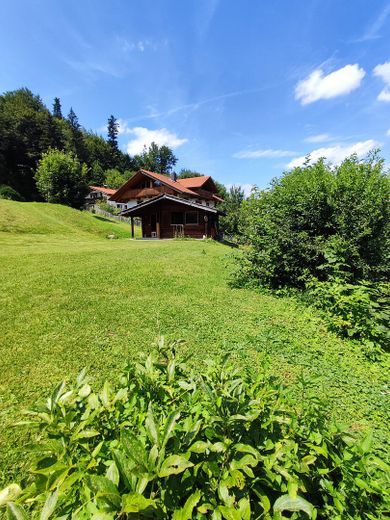 Topographie Hang & Ebene 