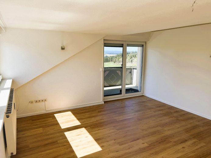 2. Wohn/Esszimmer/ Balkon