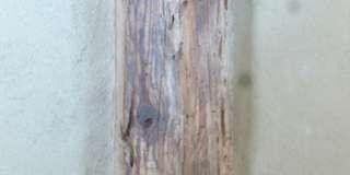 Charakter ~Detail