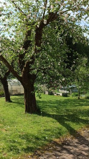 Енергоефективний будинок на дві сім’ї з балконом і великим садом – Garten1