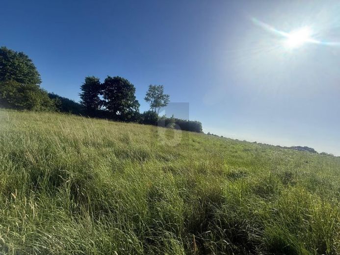 SONNIG, RUHIG & NATURNAH MIT AUSBLICK – Foto 1