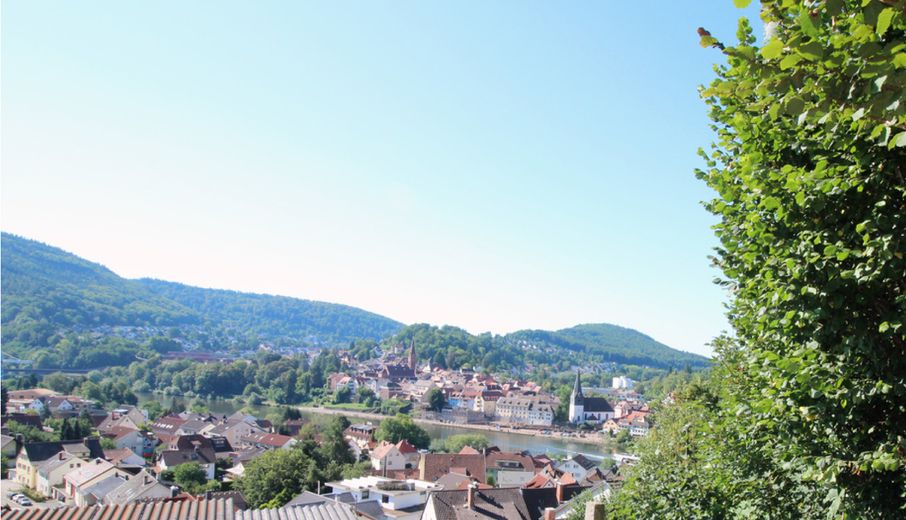 Baugrundstück mit Neckarblick in begehrter Lage von Kleingemünd – Aussicht auf den Neckar