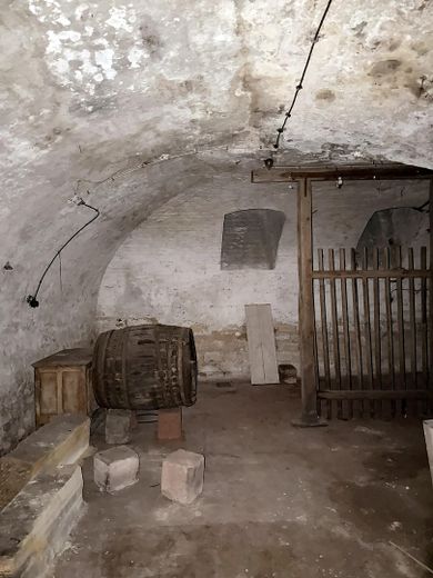 Denkmalgeschütztes Altstadt-Anwesen mit Baugenehmigung für 5 Wohnungen – Entwicklerprojekt in Landau – Gewölbekeller