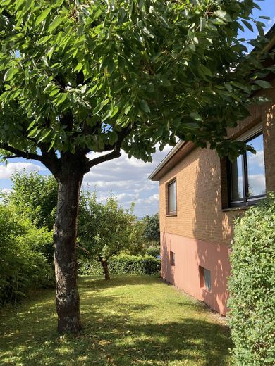 Charming detached house with a large garden in a quiet location on the edge of the forest (Wieterwald) – Westseite mit Kirschbaum