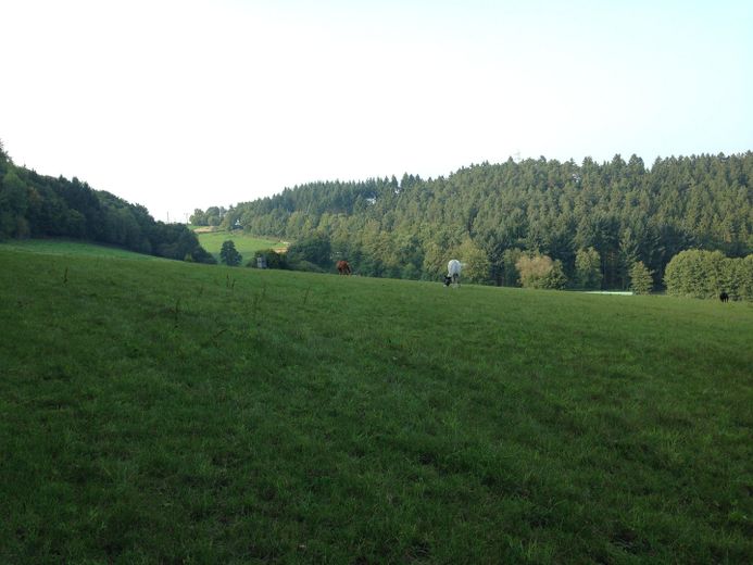 Große Weiden alle arondiert