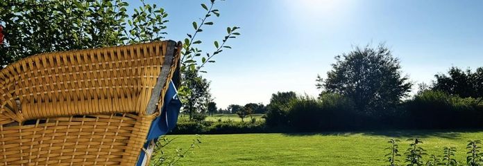Blick in den Garten