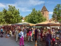 Neuenheim Marktszene