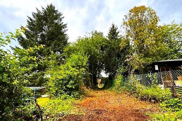 Erwecke mich aus dem Dornröschenschlaf!
Reihenhaus in Kastel zur Sanierung