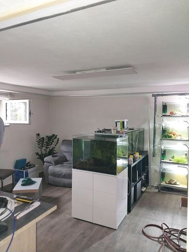 ausgebautes Zimmer im Keller