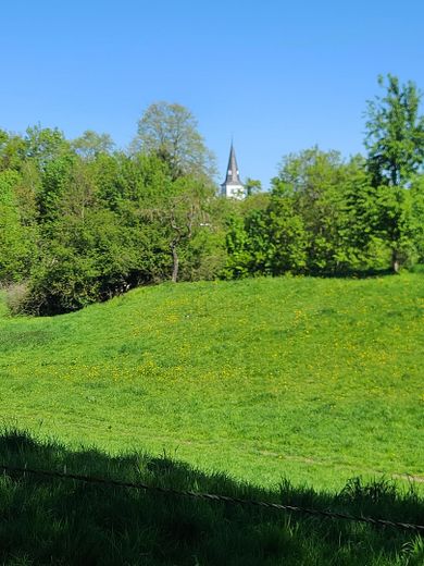 Wohnen direkt am Rhein in Orsoy .... – Weg um Orsoy Frühling