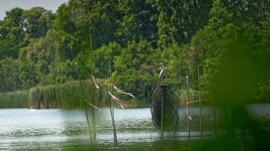 Auf Zeit: Traumhaus am See mit eigenem Steg, nur 30min von Berlin-Mitte – Natur vom Steg aus