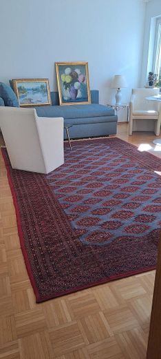 Möbliertes 1-Zimmer Apartment mit Tiefgarage ab sofort an Nichtraucher Single ohne Haustier – Wohn-Schlafzimmer