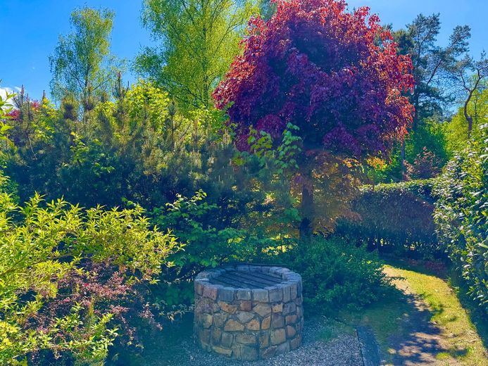 westl. Gartenteil mit Hecke
