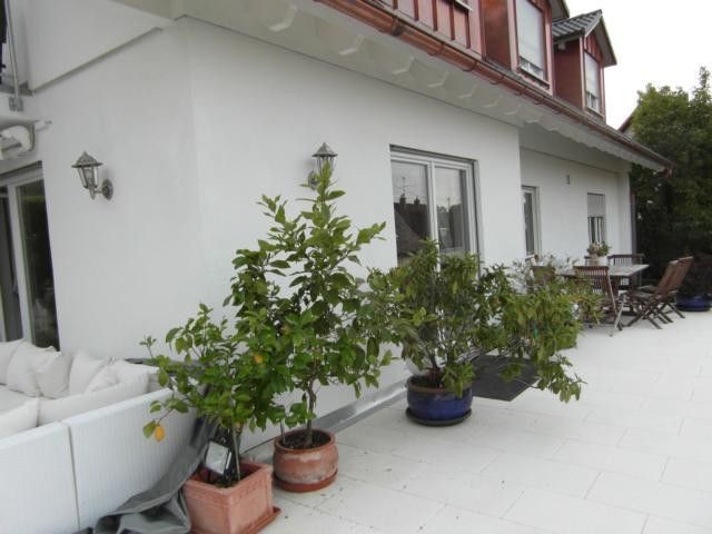 STA - Top san.  ZFH (EFH + autarker 106 m²- DG-Whg.) + sep. Gebäude in 1A-Lage, Weitbl., 3er Gge. – Ost-Terrasse
