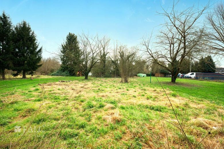 Einfamilienhaus, Ladenlokal und viel Grundstück - mitten in Bergheim – Wiese
