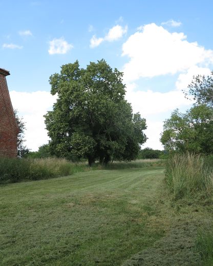 eines der letzten, erhaltenen SCHEUNENGUTSHÄUSER (mit 4-6 ha. Naturgrundstück) – Seitlicher Grundstücksteil