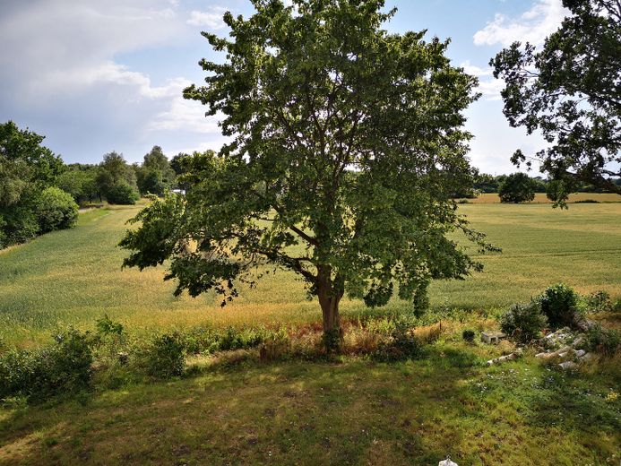 Blick aus dem Fenster