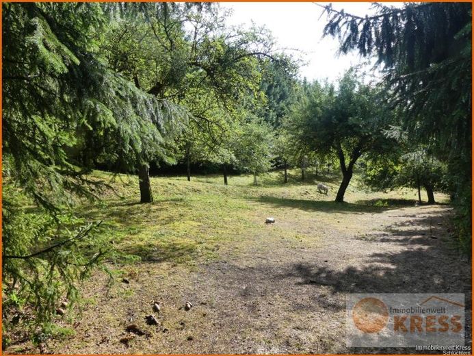 Terreno per il tempo libero con un consistente patrimonio di alberi da frutto (ca. 40 pezzi) incorniciato da abeti a Weiperz – Foto 1