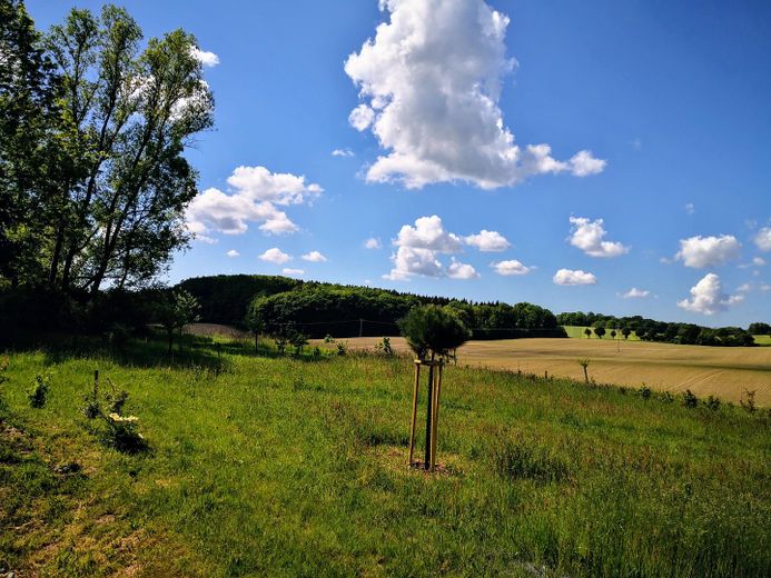 Baugrundstück für TINY-Haus-EFH-VOLLERSCHL:-Erster Wohnsitz-Selbstversorgung-autark – Fernblick nach Süd-Westen
