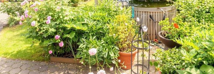 Trasferirsi e sentirsi a proprio agio – casa residenziale ben curata con molto spazio e un bel giardino
