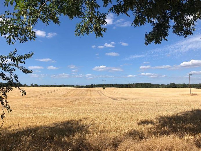 Historisches Landhaus in Mecklenburg-Vorpommern - ruhig gelegen, stündlich per Bahn erreichbar – Sommerblick