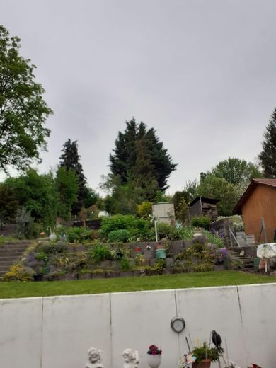 Stadtnahe, idyllische Terassen/Gartenwohnung in ruhiger Weinberglage – Garten