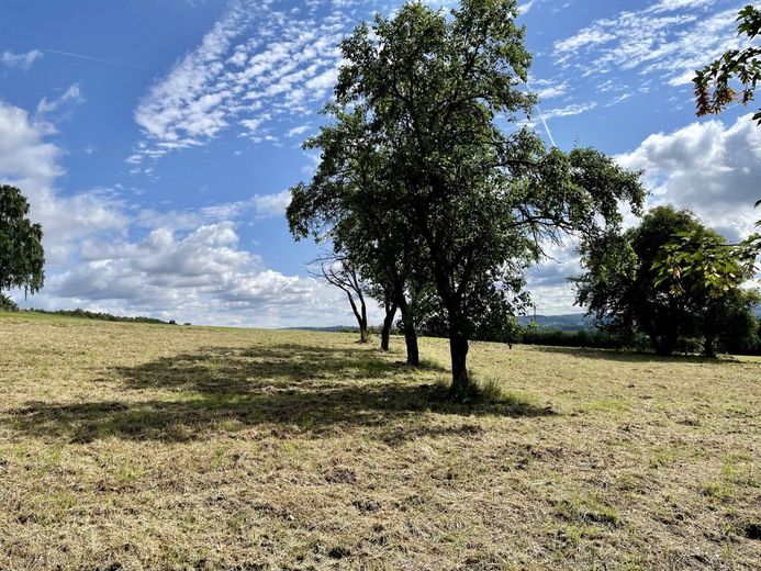 Fröndenberg/Ruhr: Eines der schönsten Grundstücke der Stadt! – Baugrundstück Fröndenberg